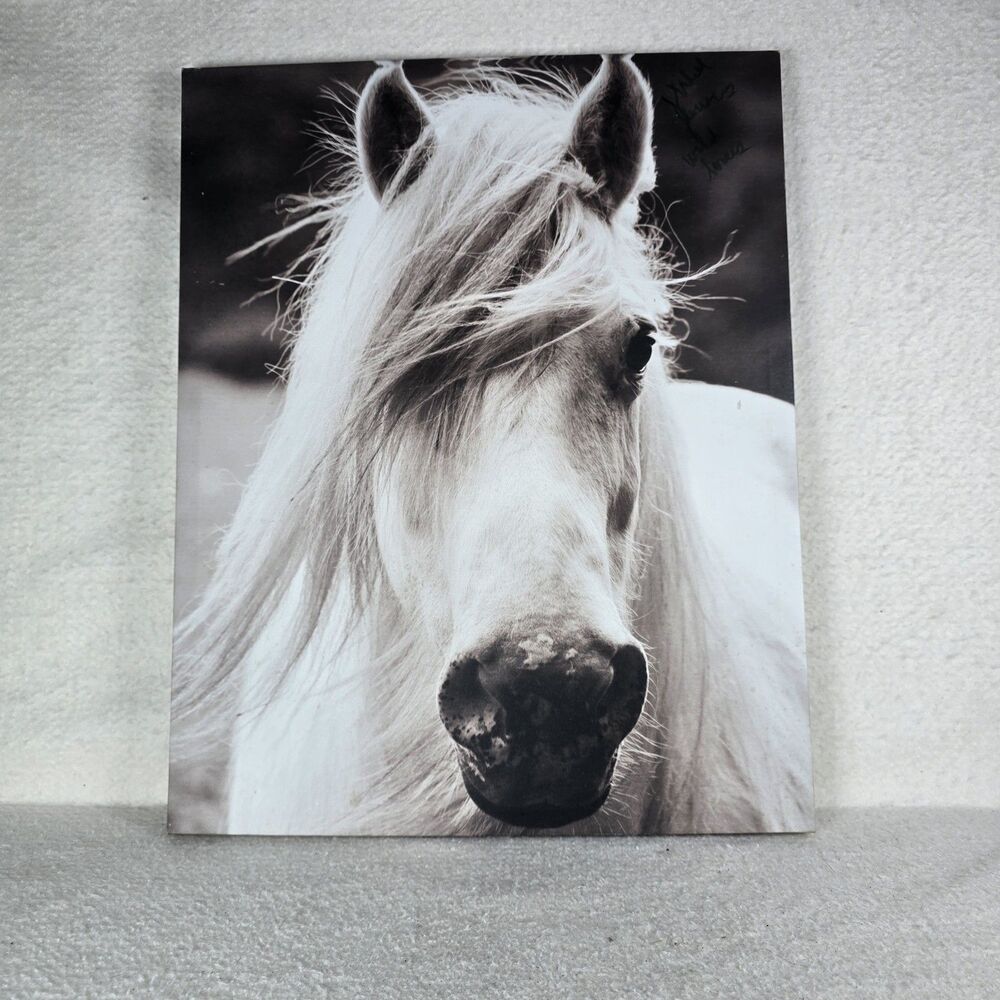 Horse Potrait Canvas 16x20 Art Wildlife Wall Decor